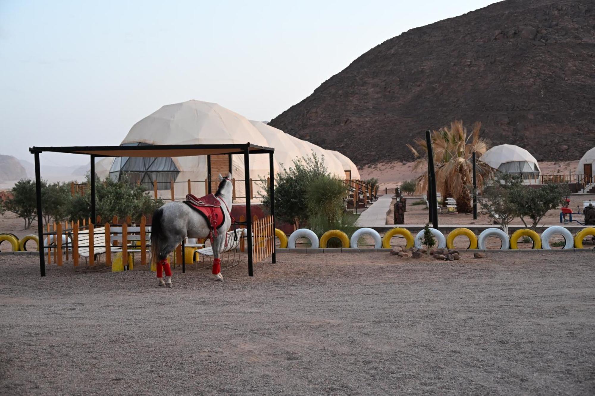 Bilal Luxury Camp Hotel Wadi Rum Exterior photo